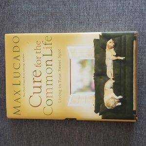 Cure For The Common Life by Max Lucado
